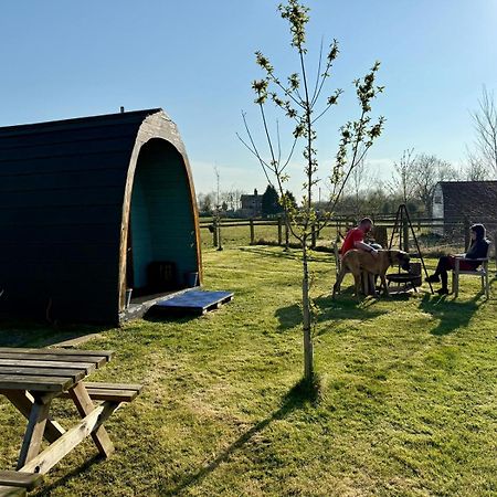 Skipbridge Farm Glamping York Dış mekan fotoğraf
