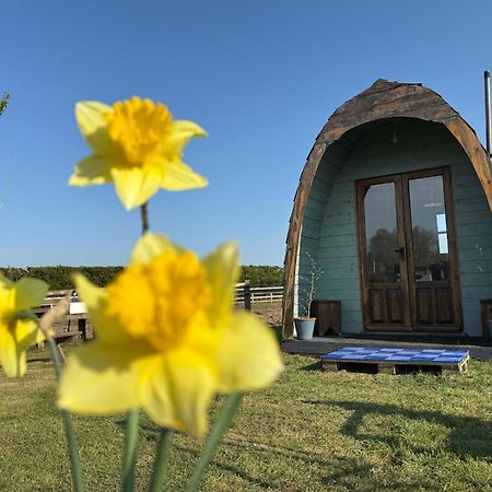 Skipbridge Farm Glamping York Dış mekan fotoğraf