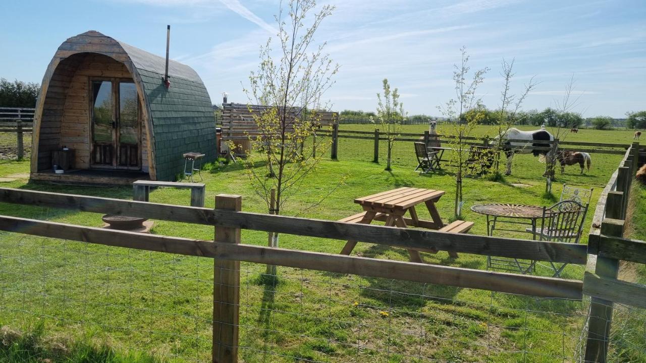 Skipbridge Farm Glamping York Dış mekan fotoğraf