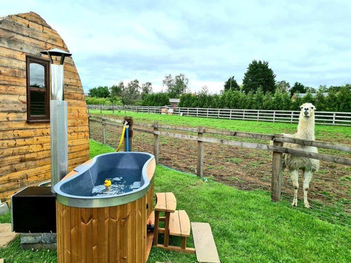 Skipbridge Farm Glamping York Dış mekan fotoğraf