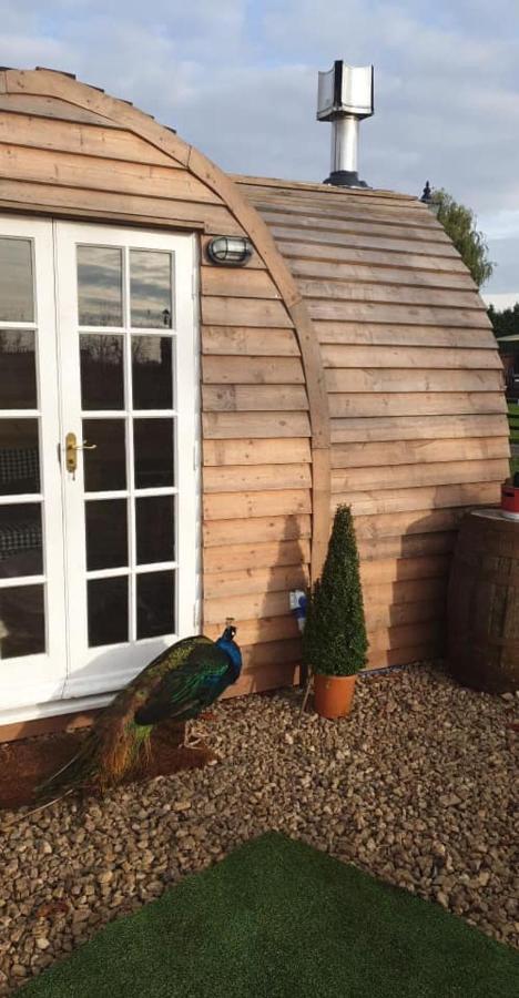 Skipbridge Farm Glamping York Dış mekan fotoğraf