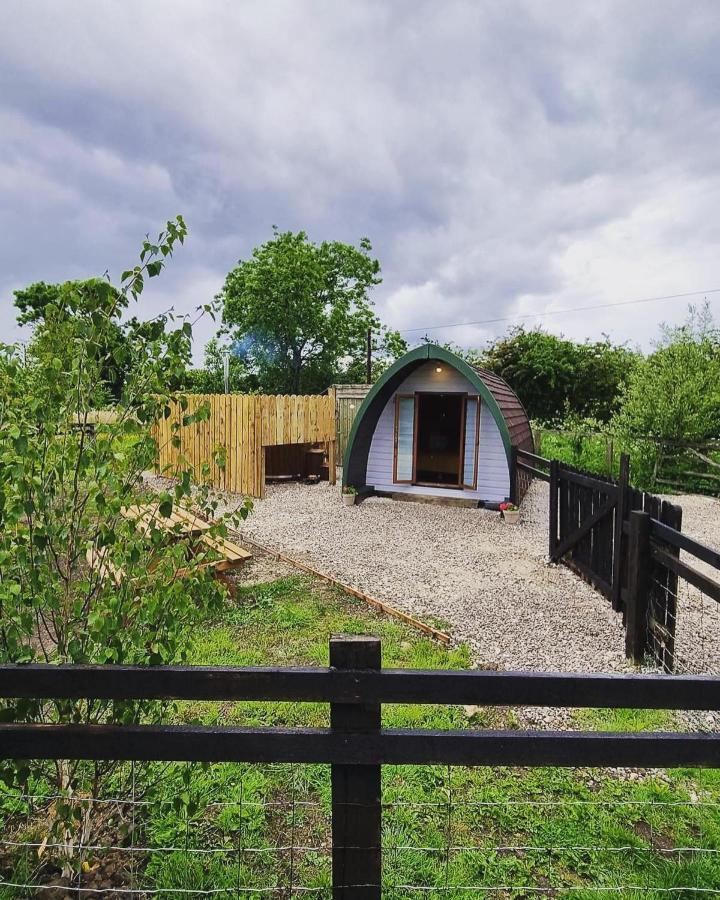 Skipbridge Farm Glamping York Dış mekan fotoğraf