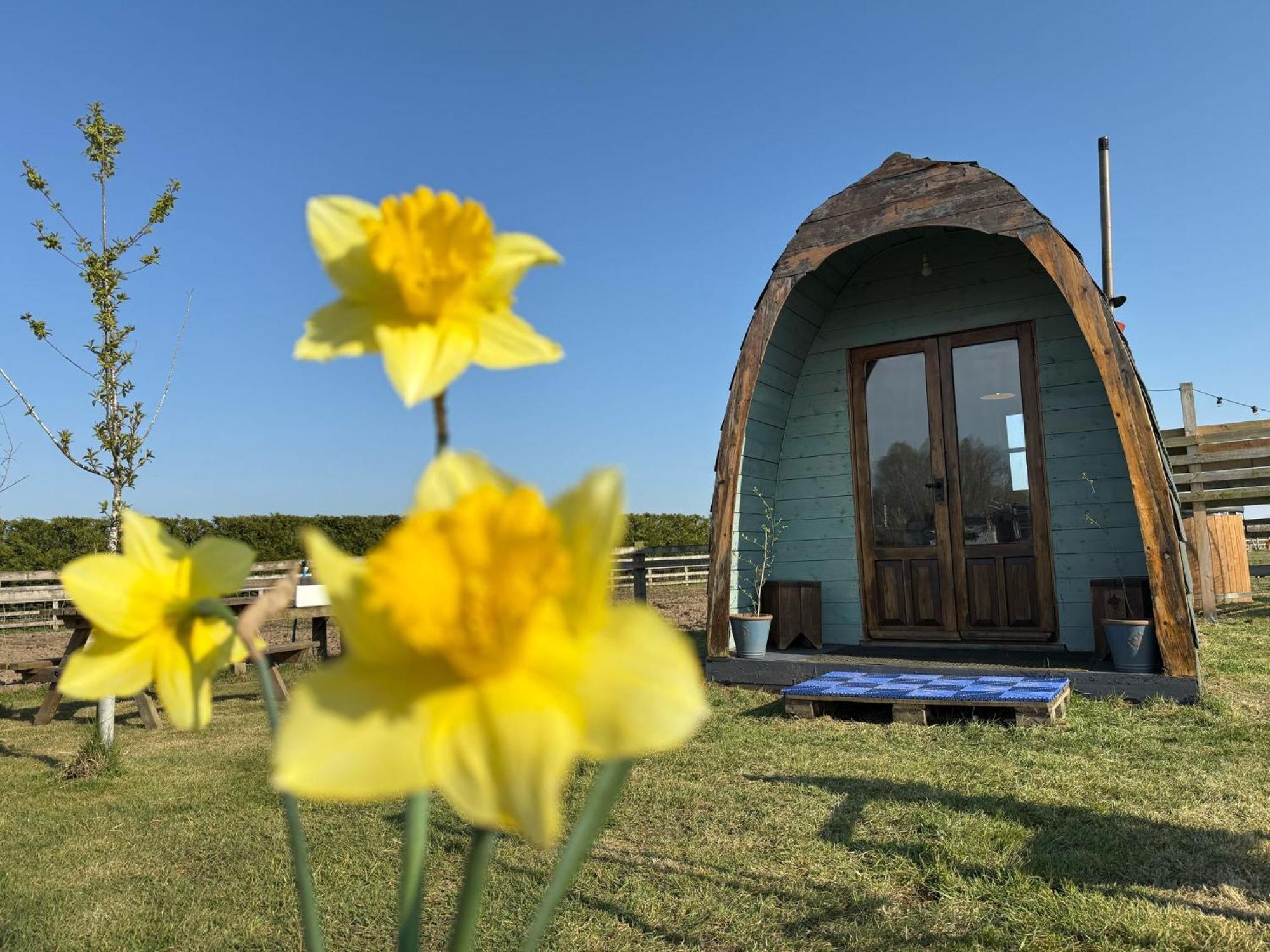 Skipbridge Farm Glamping York Dış mekan fotoğraf